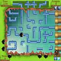 Penguin pipe maze - penguin game