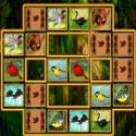 Bird cards match - memória játék