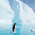 Penguin escape home back - escape game