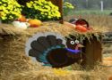 Thanksgiving fall forest escape - escape game